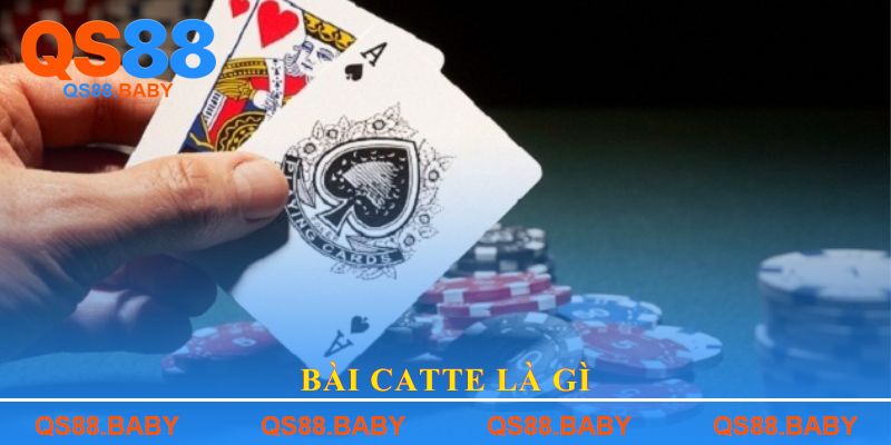 Bài Catte là gì