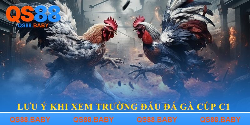Lưu ý khi xem Trường đấu đá gà cúp C1
