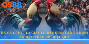 Đá gà cúp C1